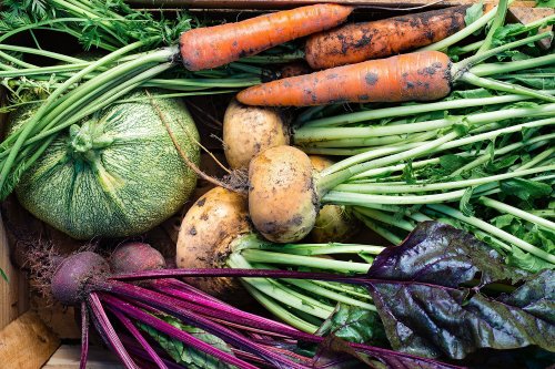 The best vegetables to plant in October