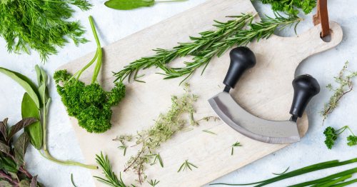 Gesunde Ernährung beginnt im Darm: Warum wir 30 verschiedene Pflanzen pro Woche essen sollten