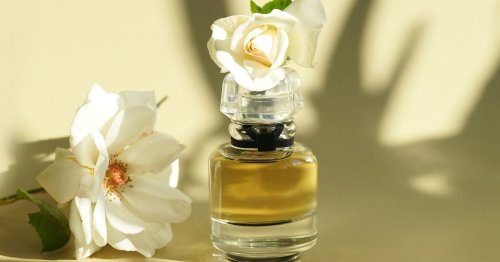 Parfum: Diese Duft-Neuheiten stillen die Sehnsucht nach dem Sommer