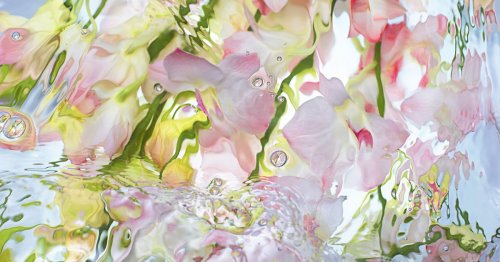 Aquarisch, zitrisch, floral: Diese Düfte für den Sommer sind unsere Parfum-Tipps 2022