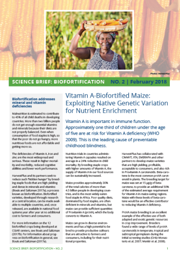 Vitamin A-Biofortified Maize: Exploiting Native Genetic Variation for Nutrient Enrichment - HarvestPlus