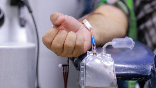 66 Personen spenden in Bad Sachsa ihr Blut