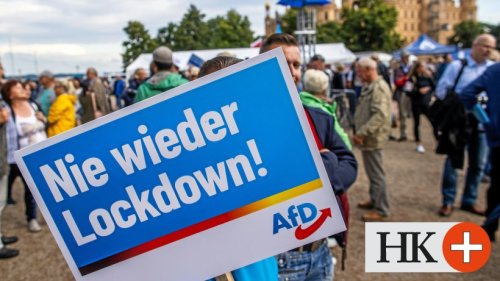 AfD nutzt Klima-Debatte im Wahlkampf erfolgreich für sich