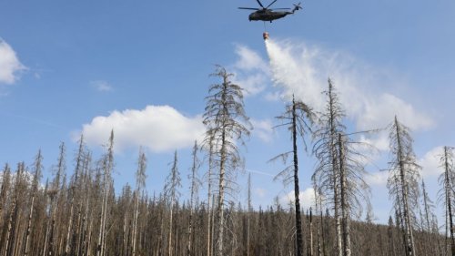 Waldbrand im Nationalpark Harz gelöscht