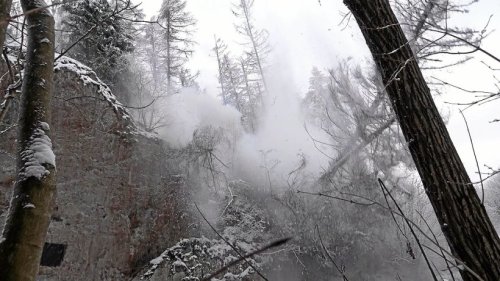 Bäume im Harz gesprengt – Gefährliche Situation im Sperrgebiet