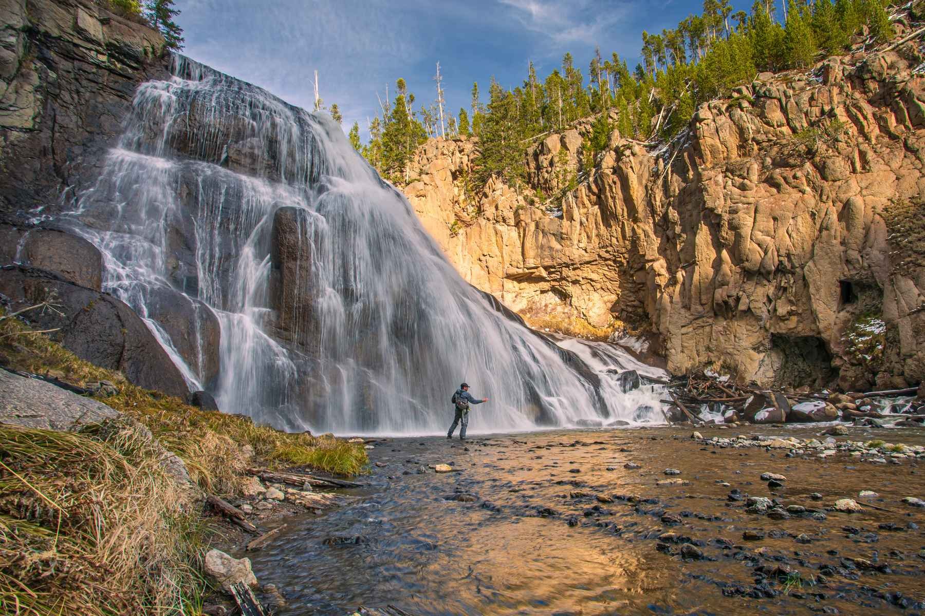 Fly Fishing cover image