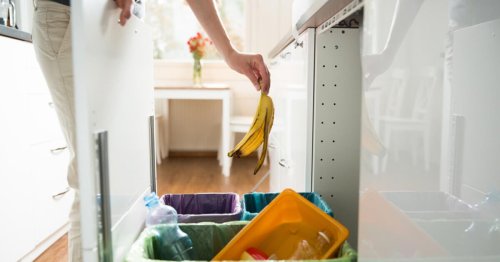 Was darf in die Biotonne? Trennen Sie richtig!