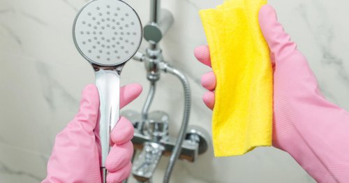 Duschkopf entkalken: So geht es richtig