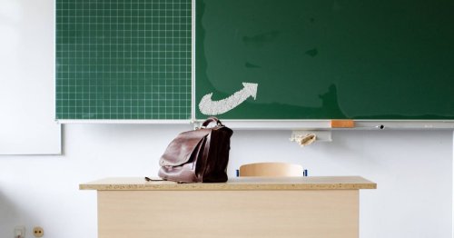 Beamtenbund: Verbeamtung für angehende Lehrkräfte mit AfD-Parteibuch „deutlich unwahrscheinlicher“