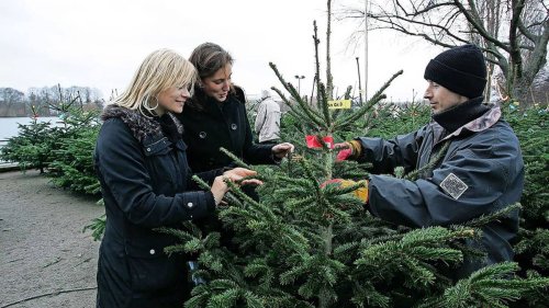 Hier können Sie 2023 in Hannover einen Weihnachtsbaum kaufen