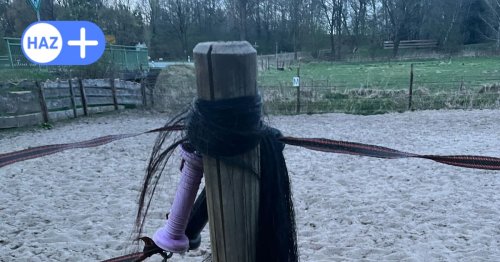 Gruselfund in Bonstorf: Woher stammt der abgetrennte Pferdeschweif auf der Weide?
