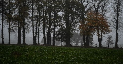 Wetterumschwung in Niedersachsen: Regen und Schneeschauer erwartet