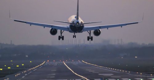 Mehr Unfälle: 11 tödliche Flugunglücke in Deutschland
