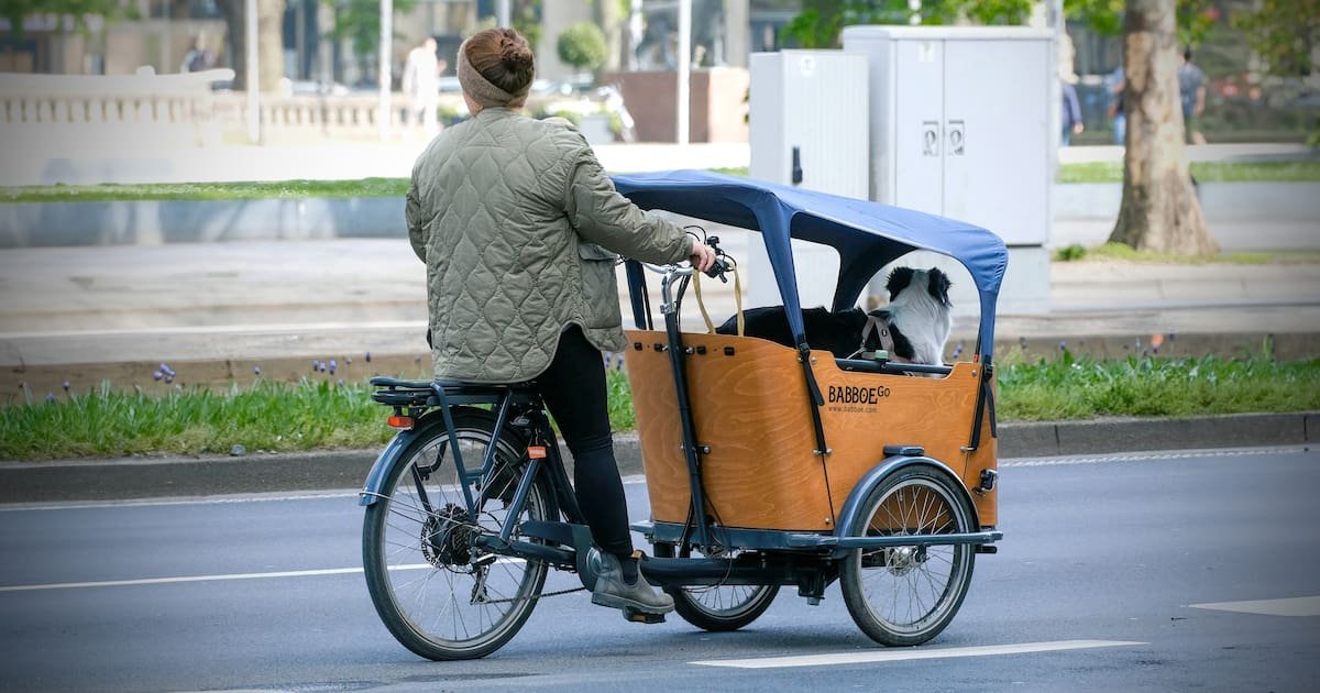 E-Mobility cover image
