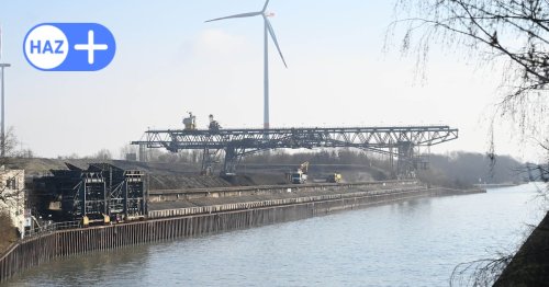 Grünes Licht für Pommesfabrik: Das sagen Ratsmitglieder zum Beschluss