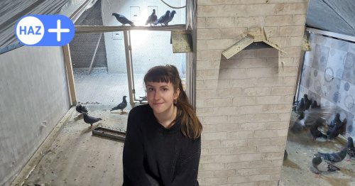 Gericht entscheidet: Netzwerk Taubenrettung muss aus Mehrfamilienhaus ausziehen