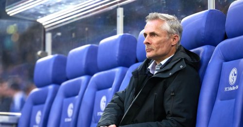 Schalke-Trainer van Wonderen rechnet mit Trennung im Sommer