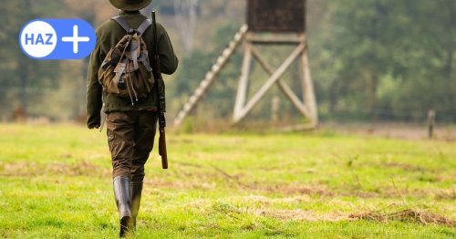 Blei-Verbot in der Jagd: Neue Regelung in Niedersachsen gilt ab April