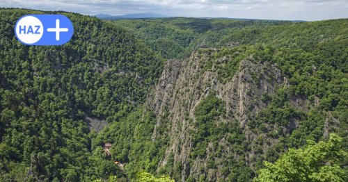 Fünf Wochenendausflüge für Naturliebhaber rund um Hannover