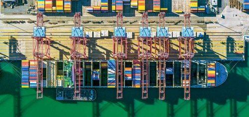 Building a Transparent Supply Chain