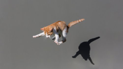 Agile Doesn’t Work Without Psychological Safety