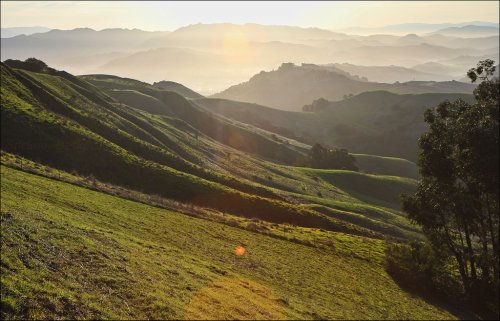 40 outdoor spots all Bay Area kids should visit before growing up