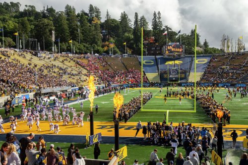 Cal equipment manager powerslams fan who tried to steal a helmet