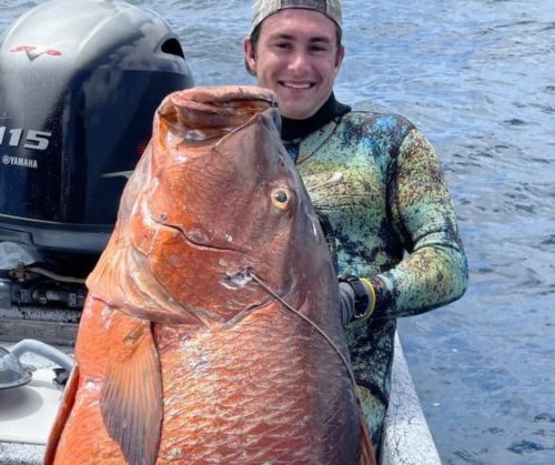 'It was giant': Texas angler catches pending Texas and world record-breaking fish