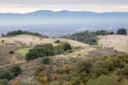 Bay Area hike to Picchetti Ranch Preserve has a surprising Hollywood ending