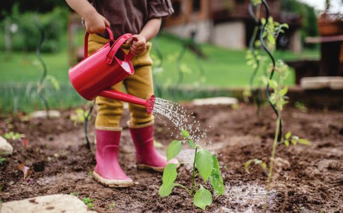 7 gardening shoes to keep your feet comfy and dry