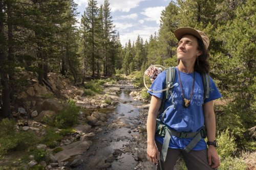 Why ‘water walks’ are becoming a trend for California hikers