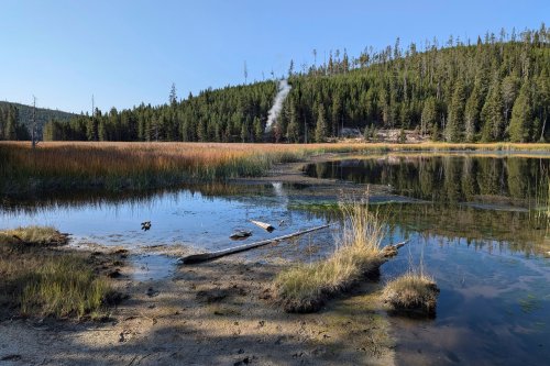 A new thermal steam vent is grabbing attention in ever-changing Yellowstone National Park