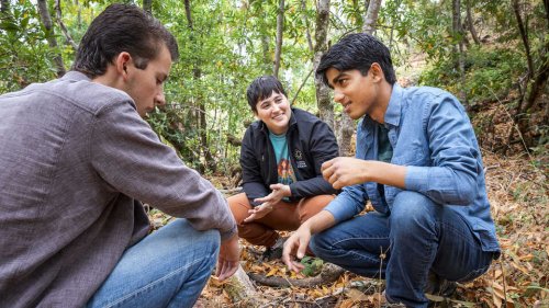 Bay Area teens discover two previously unknown Calif. species