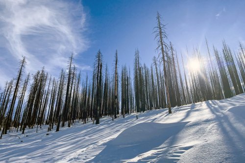 Wildfire incinerated a Tahoe ski area. Three years later, it's unrecognizable.