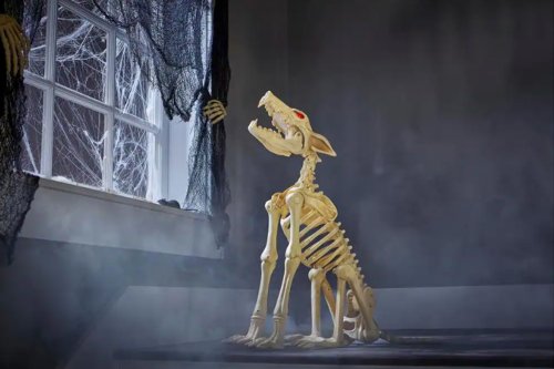 These life-size animal Halloween skeletons will creep the bejesus out of your neighbors