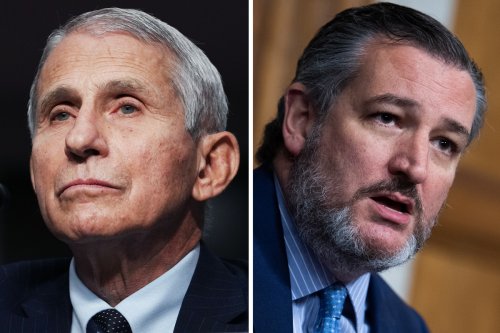 Trump's new COVID website pushes Ted Cruz's views on pandemic
