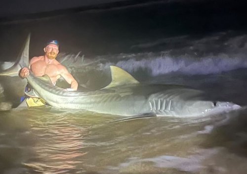 'It was pretty epic': Texas angler reels in 12.5-foot tiger shark at Padre Island National Seashore
