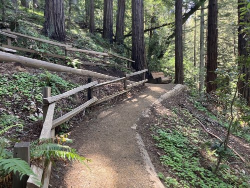Muir Woods hiking trail reopens after $1.8 million ‘historic style’ restoration