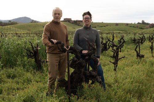This California winery has barely changed in 60 years — and it’s never been more relevant
