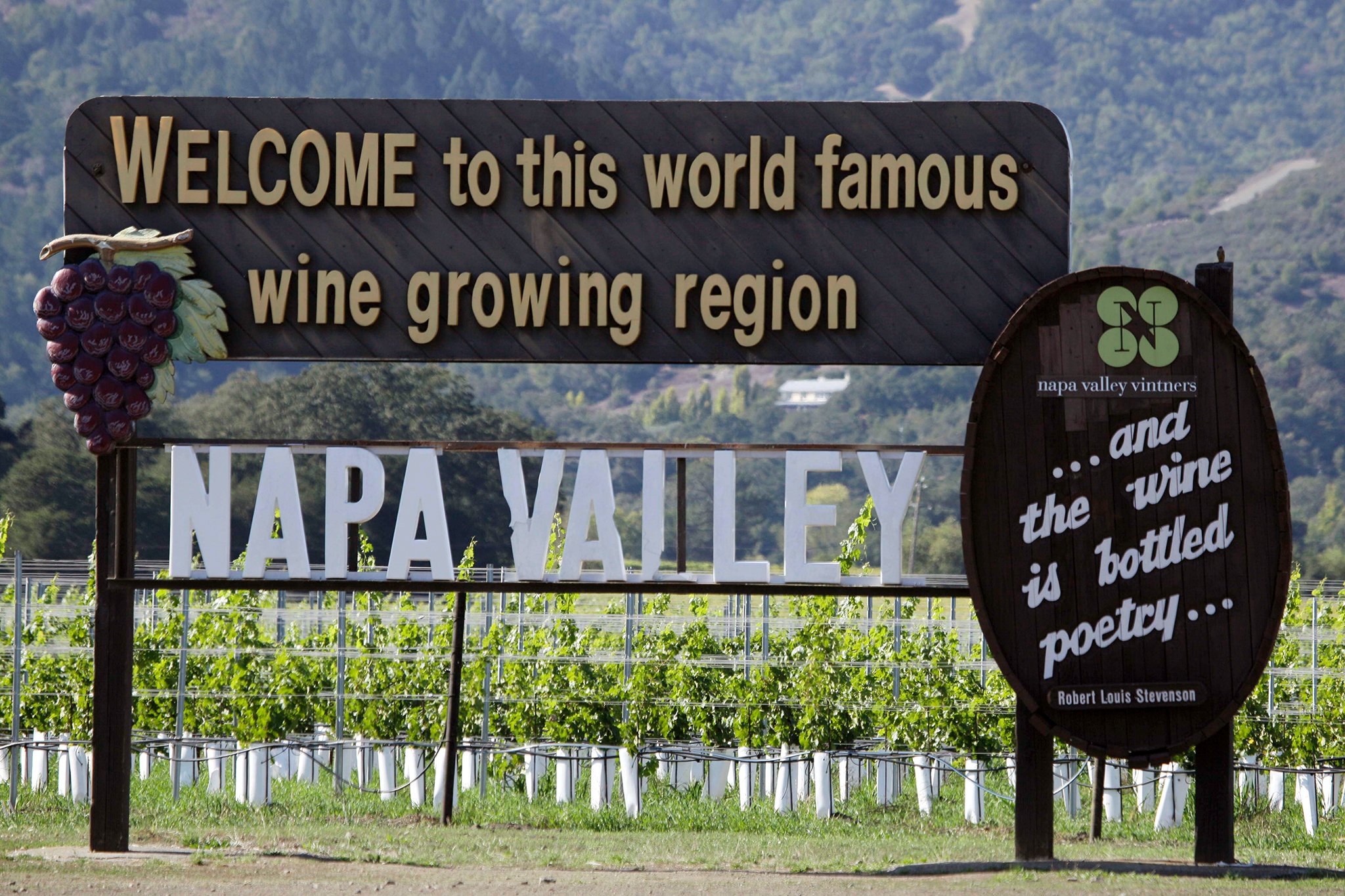 'It's a s—t show': St. Helena businesses enraged over brown tap water