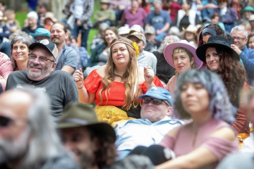 Searching for Old San Francisco at Hardly Strictly Bluegrass