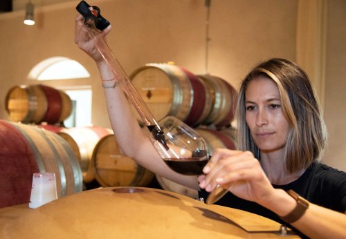 ‘It doesn’t seem fair’: Small Napa wineries fear local government could deal another blow to their survival
