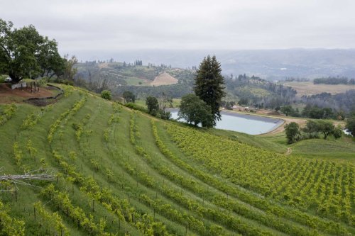 A new type of investor is buying up California wineries. Here’s why it’s controversial