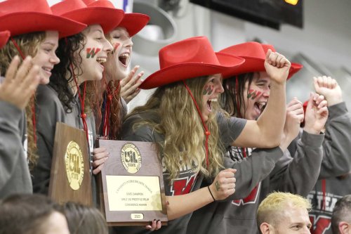 The Woodlands Girls Capture 11th Swimming And Diving State Title