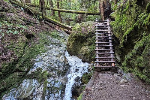 Bay Area hike ends with climbing redwood ladder over a waterfall