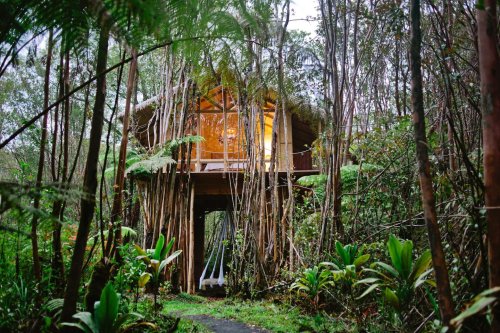 Hawaii’s dreamy jungle tree houses are part of a growing trend
