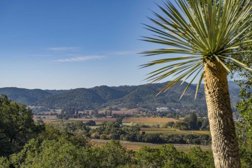 A ‘once in a generation’ piece of land is for sale in Napa Valley