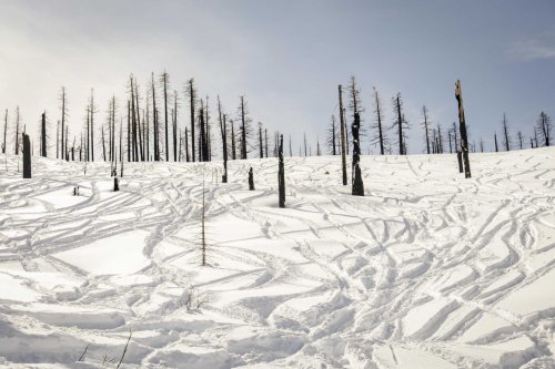 Scientists are worried about a new risk to California’s snowpack: Wildfires