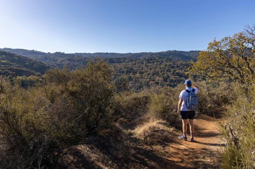 These are our favorite Bay Area hikes for you to try in 2021