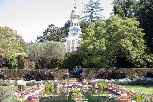 How historic Bay Area mansion Filoli juggled holiday decorating, Biden and 'SNL'
